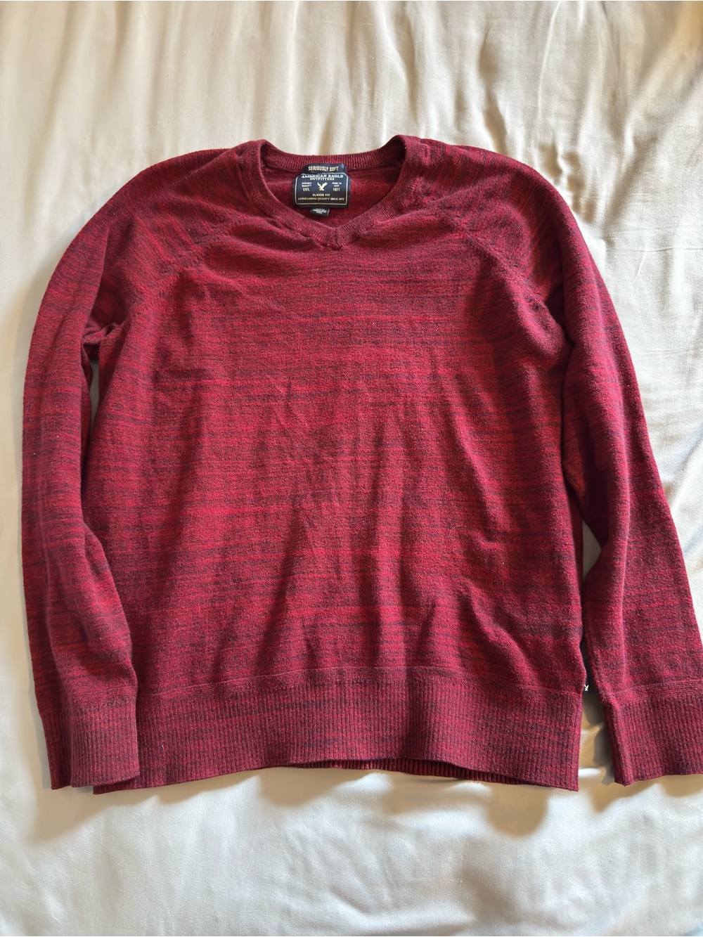 American Eagle Outfitters Marled Burgundy Crewneck Sweater